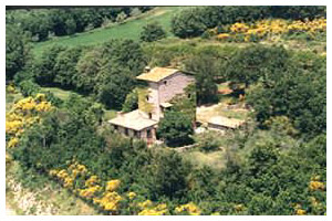 Torre Santa Maria - volo d'uccello da sud -